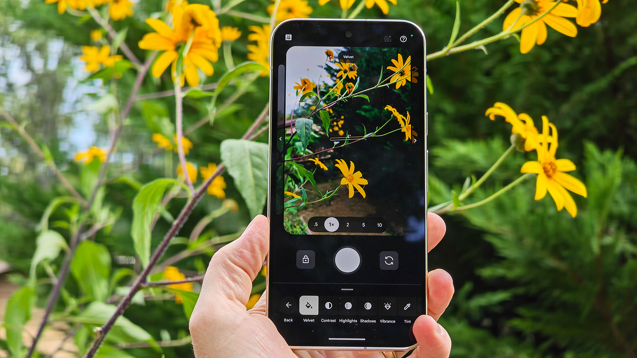 Foto ilustrativa de uma pessoa usando um smartphone para fotografar flores